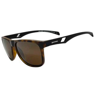 Coastline Polarized Sunglasses