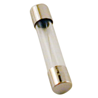 10A AGC Glass Fuses, 5-Pack