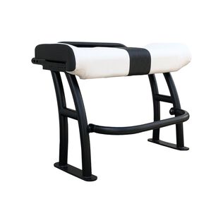 Pro Series Leaning Post, Textured Black Frame, Grab Rail, White Upholstery
