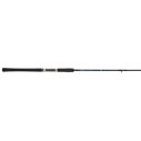 7' Teramar Spinning Rod, Heavy Power image number 0