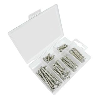 Phillips Pan Head Self Tapping Screw Kit, 48 Piece, Stainless Steel