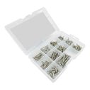 Phillips Pan Head Self Tapping Screw Kit, 170 Piece, Stainless Steel image number 0