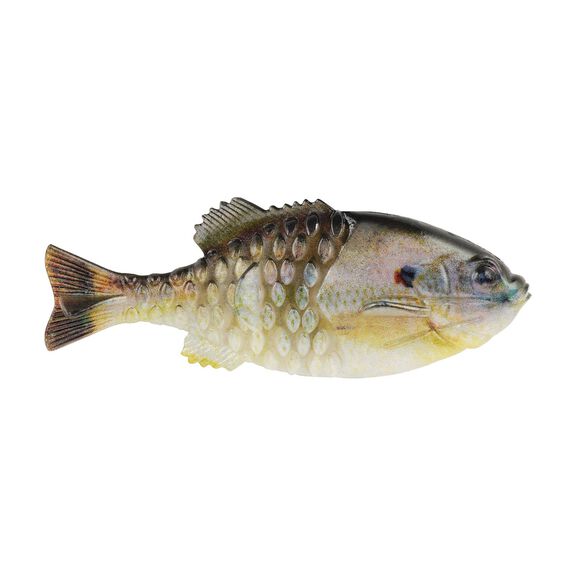 PBGL110-HDSUN PWRBAIT GILLY 110MM HDSNFS image number 0