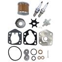 Suzuki DF8A/9.9A Maintenance Kit image number 1