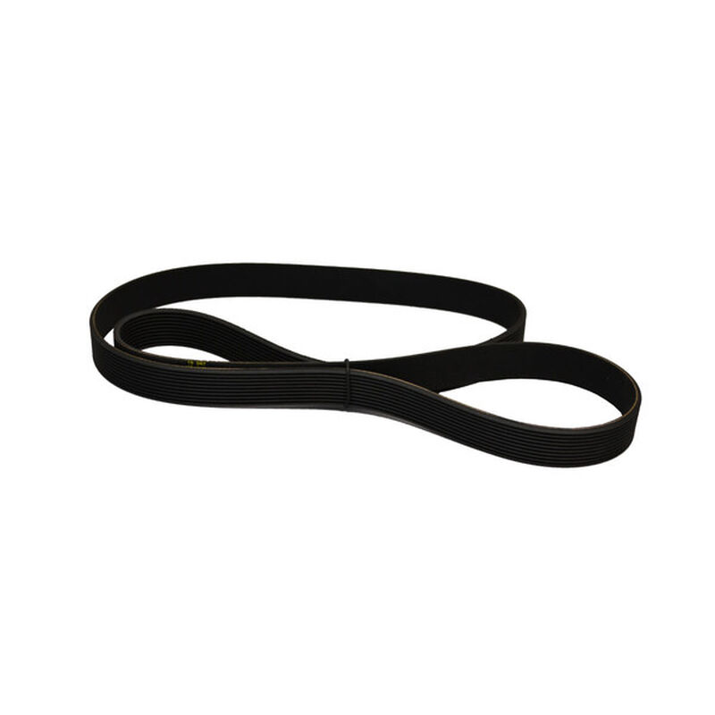 BALMAR 50" Serpentine Belt West Marine