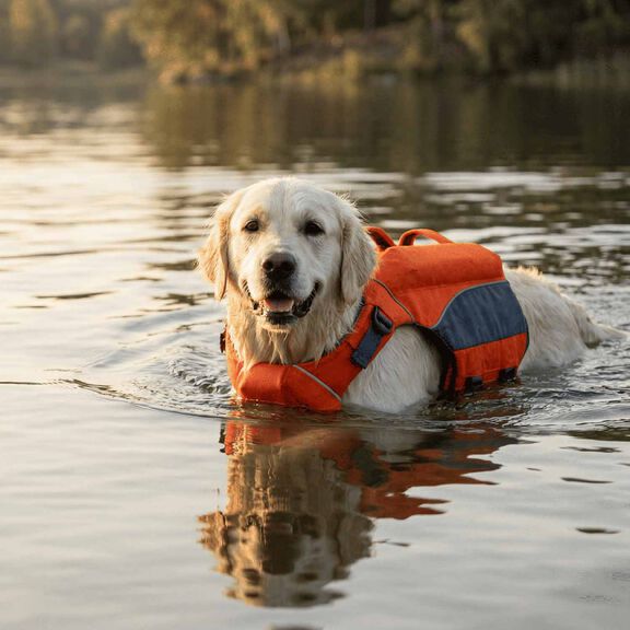 Monterey Bay Offshore Pet Life Jacket, Medium image number 5