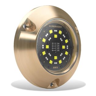 Lumishore SUPRA SMX54 LED Surface Mount Underwater Light, 7,500 Lumen, Blue/White
