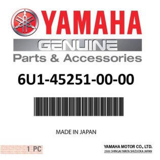 Yamaha 6U1-45251-00-00 Anode