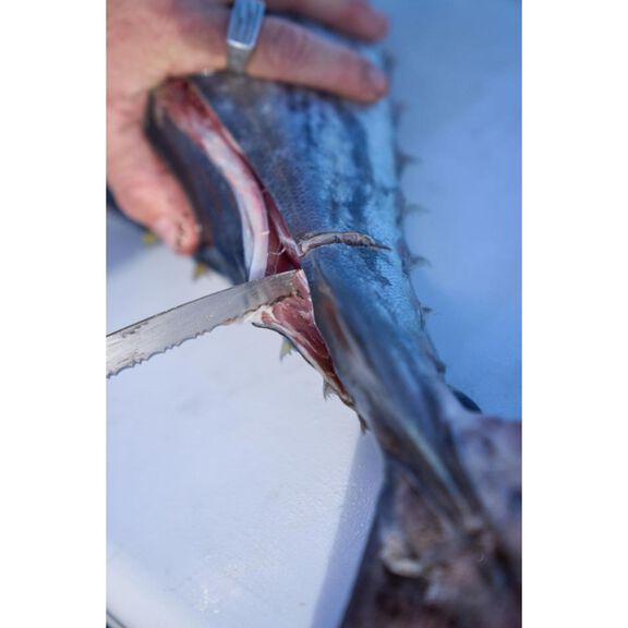 7" Dextreme DX7F Dual Edge Fillet Knife image number 4
