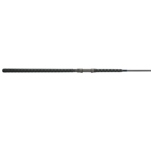 Daiwa Coastal Salt Pro Surf Spinning Rods 2020 Models main image 0
