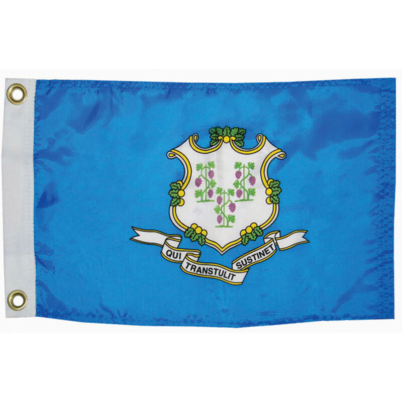 Connecticut State Flag, 12" x 18" image number 0