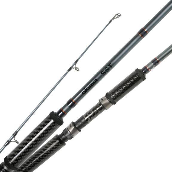 9' SST - Salmon,Steelhead,Trout Spinning Rod image number 2