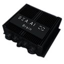 SEA.AI Brain image number 1