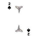 Shark Marine Life Playing/Tracking Cards, 1st Edition image number 4