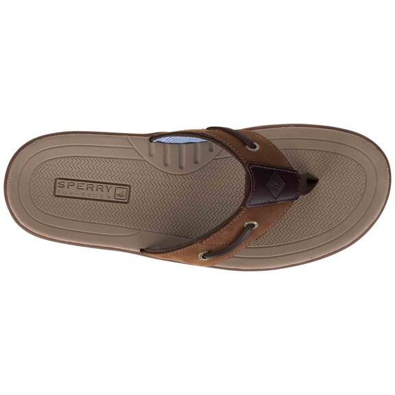 sperry baitfish sandals