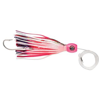 High Speed Sailfish Catchers