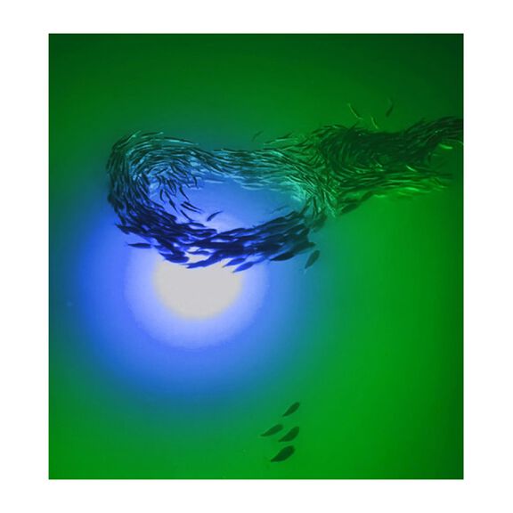 Mega-Watt Iris Underwater Color LED Lighting System image number 8