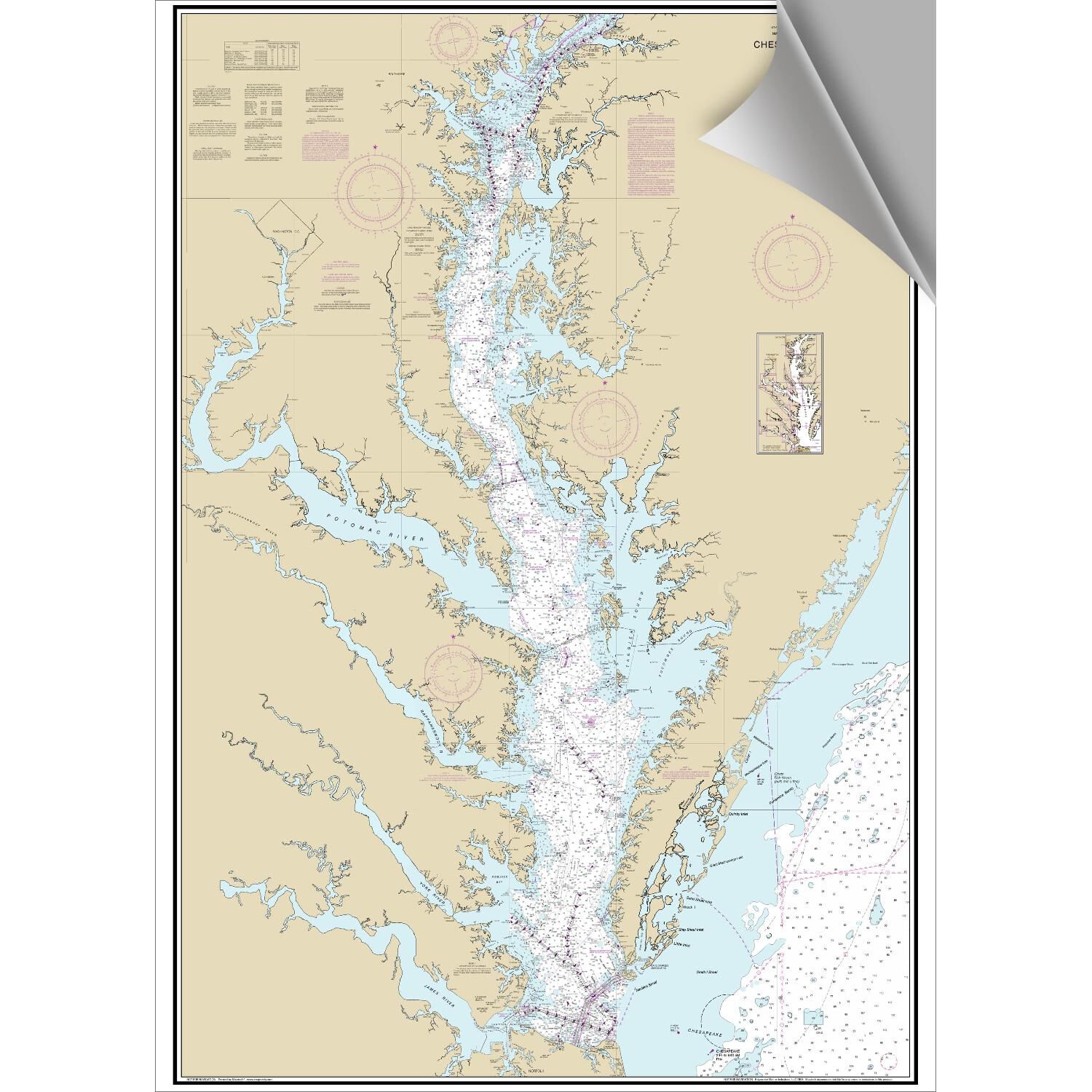 Chesapeake Bay Decorative Nautical Chart
