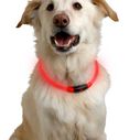 NightHowl LED Safety Necklace image number 3