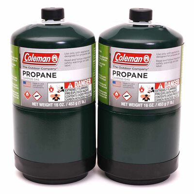 Disposable Propane Cylinders, 2-Pack