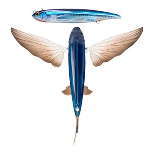 5 1/2" Slipstream 140 Flying Fish Trolling Lure, 1 3/4 Ounces