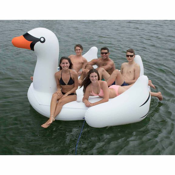 The Biggest Giant Swan image number 5