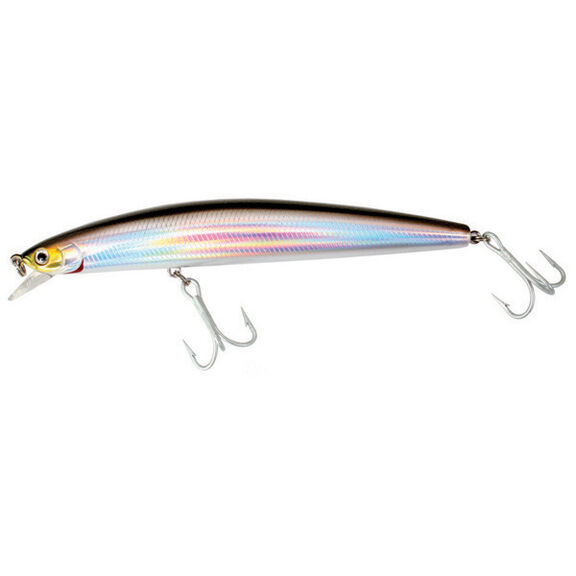 Salt Pro Minnow Fishing Lure, 6" image number 0