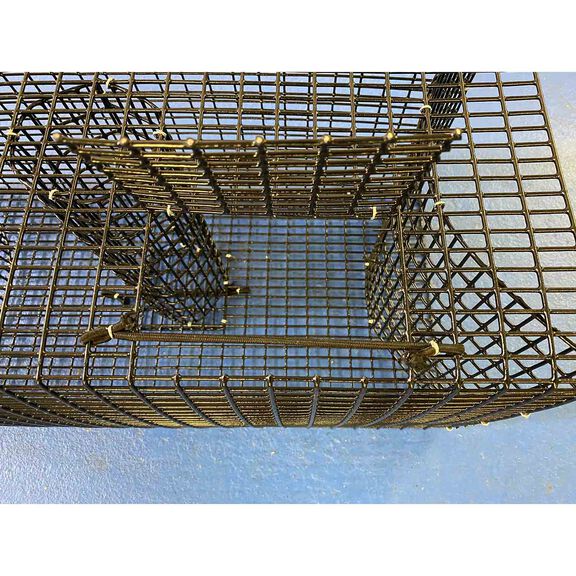 22" x 12" x 11.5" Pinfish Bait Trap image number 1
