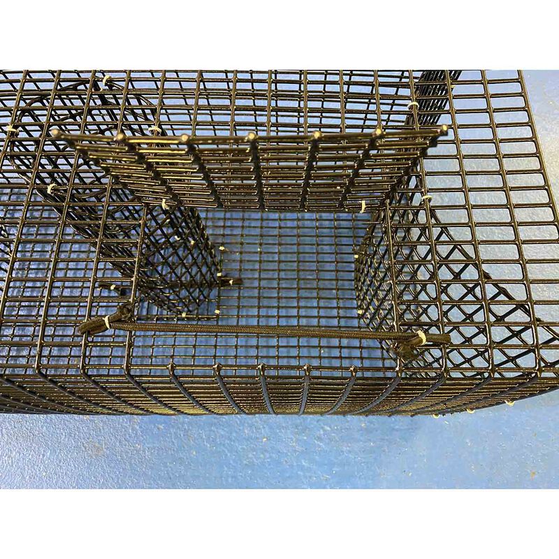 22 x 12 x 11.5 Pinfish Bait Trap by Sportfishing Products | for Fishing | Fishing at West Marine