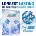 ArcticMAX Ice Packs image number 2