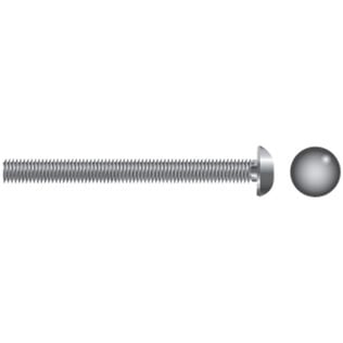 Stainless Steel Carriage Bolts