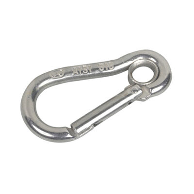 Stainless Steel Carabiners with Eye