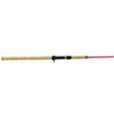 SST Salmon Spinning / Casting Rods image number 0