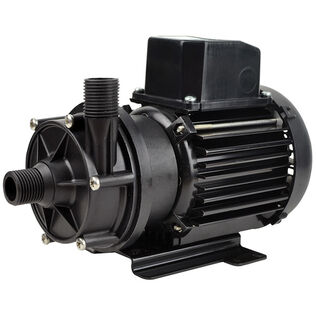 Mag Drive Pump, 13 GPM