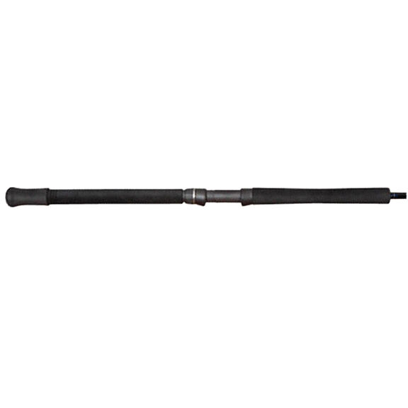 Talavera Spinning Rods image number 0