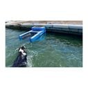 Pup Plank Originale - Rampa Gonfiabile Per Cani, Scala Piscina/Barche Per Animali Fino A 50kg - Foto 2