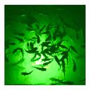 Mega-Watt Underwater Color LED Lighting System image number 3