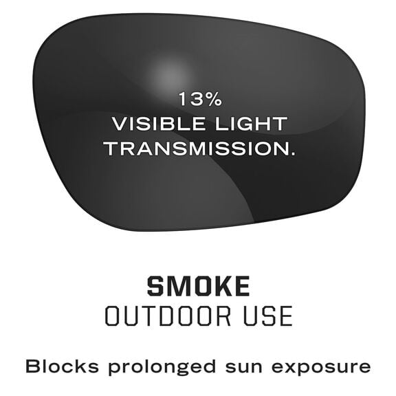 Vision Type-N Safety Eyewear, One Size Fits All, Smoke-Black/Smoke image number 1