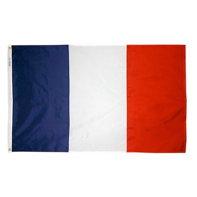 12" x 18" France Courtesy Flag