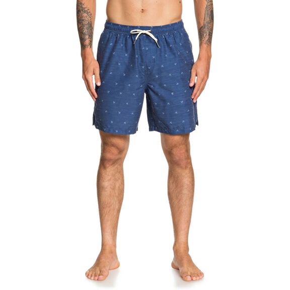Men's Airbourn Fish Swim Trunks image number 0