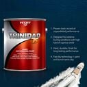 Trinidad 75 Antifouling Paint, Black, Gallon image number 4