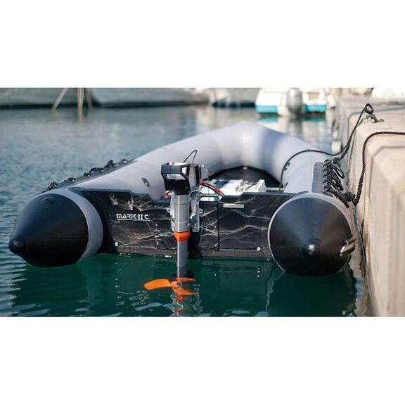 Cruise 4.0T Outboard Engine, Long Shaft image number 1