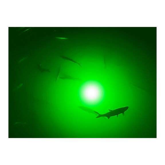 Apollo Underwater Color LED Lighting System image number 2