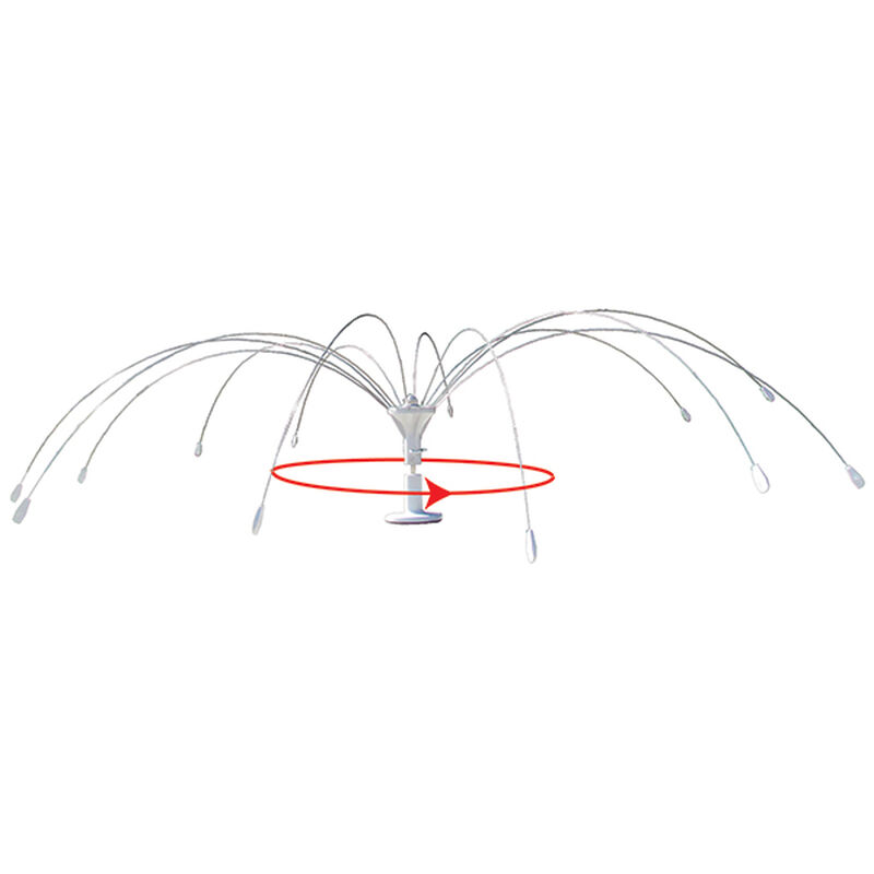 Bird Spider® 360° image number 0