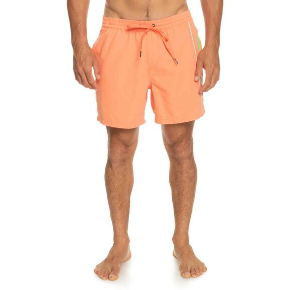 Men's Everyday Vert Volley Shorts image number 0