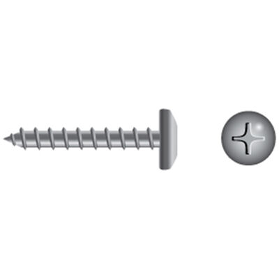 #8 X 1" Stainless Steel Phillips Pan-Head Tapping Screws, 20-Pack