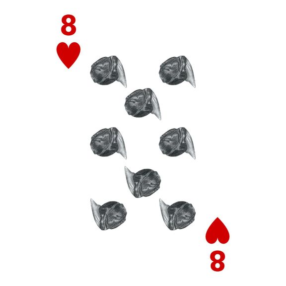 Shark Marine Life Playing/Tracking Cards, 1st Edition image number 5
