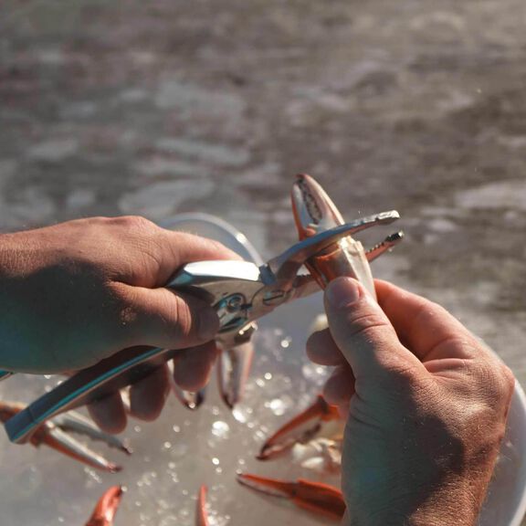 Crab and Lobster Cutter image number 2