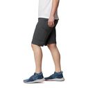 Men's Silver Ridge&trade; Cargo Shorts image number 1