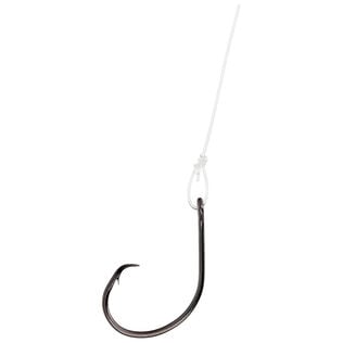 Lazer Sharp Jupiter Ready Rigs